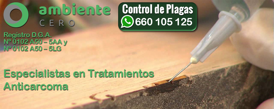 Empresa de tratamiento anti carcoma Daymax en Zaragoza